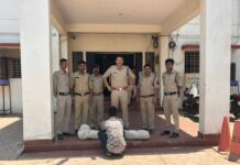 गांजे की खेती पर पुलिस का एक्शन