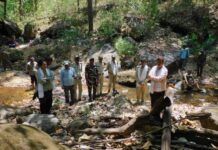 सतपुड़ा टाइगर रिजर्व में नर बाघ का मिला शव