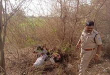 घायलों की उपनिरीक्षक ने सीपीआर देकर बचाई जान