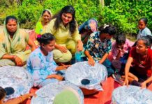 हरित ऊर्जा से बचाएं पर्यावरण, धरती समझौता नहीं करती , वह संकेत भेजती है धरती के संकेत से समझें भविष्य की चिंताओं को, पौधरोपण करें लेकिन उचित मौसम में और सुरक्षित परिवेश में – सारिका