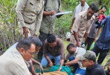 रहवासी क्षेत्रों के आसपास घूम रहे बाघ को रेस्क्यू कर भेजा वन विहार